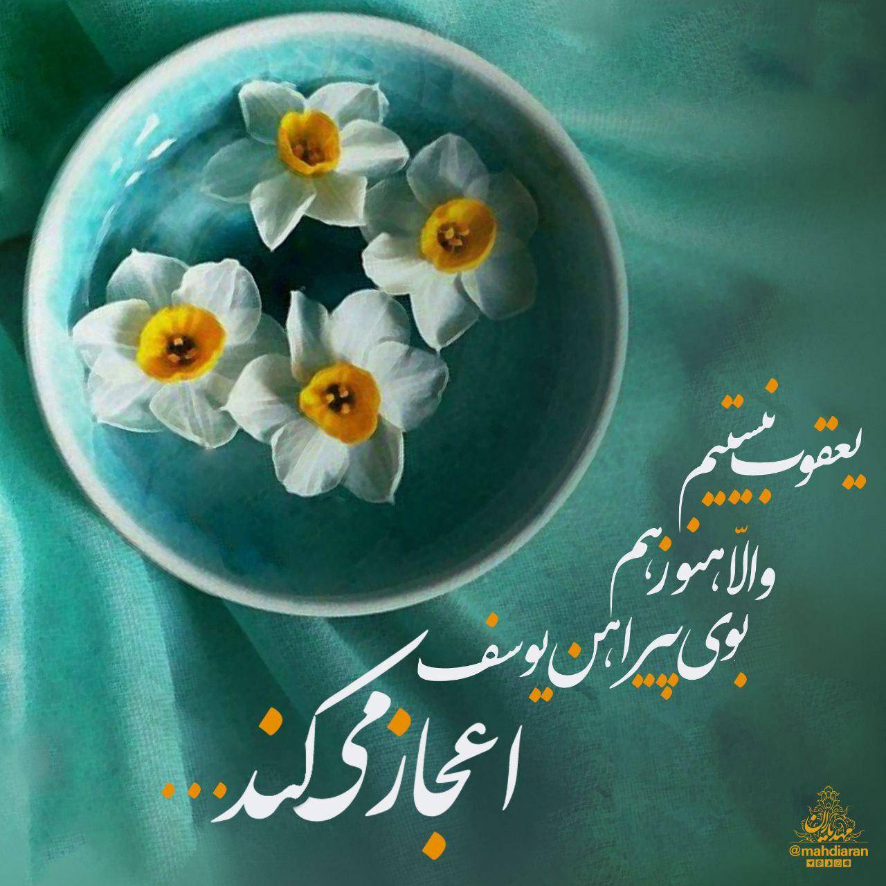 بوی پیراهن یوسف، هنوز هم اعجاز میکند